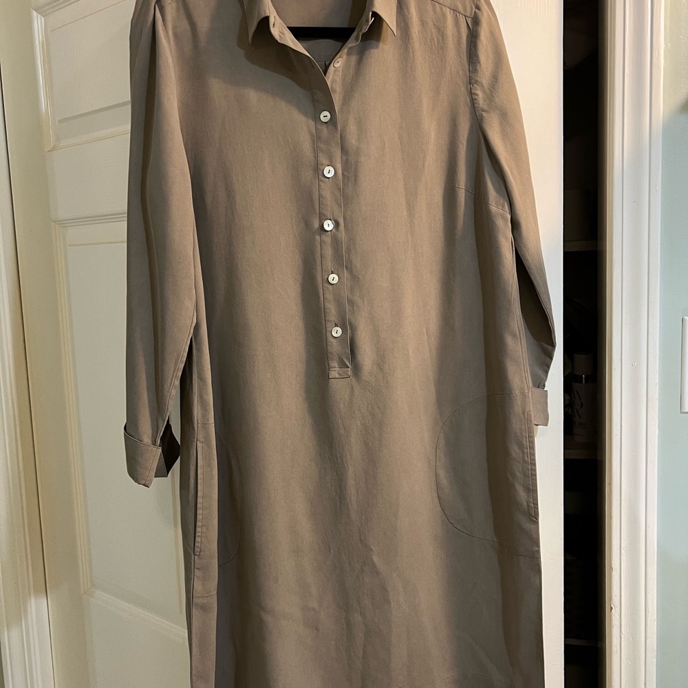 GO silk dress